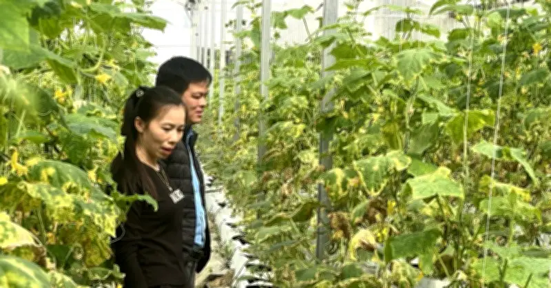 Thu hẹp khoảng cách số, giảm nghèo thông tin cho nông dân