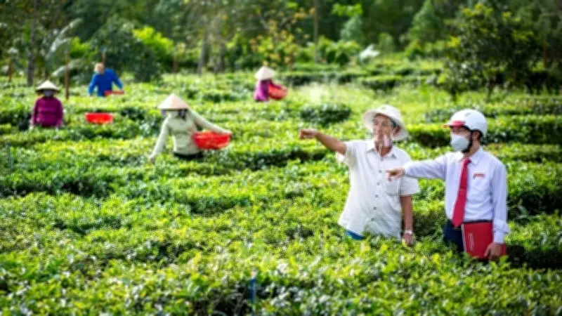 Tín dụng xanh: Cung cầu chưa gặp nhau, doanh nghiệp tư nhân khó tiếp cận vốn