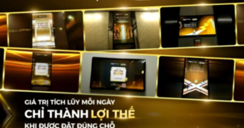 TopCV Pro: Giá trị tích lũy mỗi ngày chỉ thành lợi thế khi đặt đúng môi trường