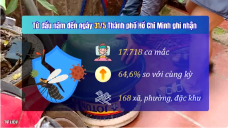 TP Hồ Chí Minh cảnh giác cao trước nguy cơ gia tăng sốt xuất huyết