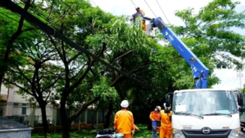 TP.HCM tăng cường phòng ngừa cây ngã, tai nạn điện trong mùa mưa bão