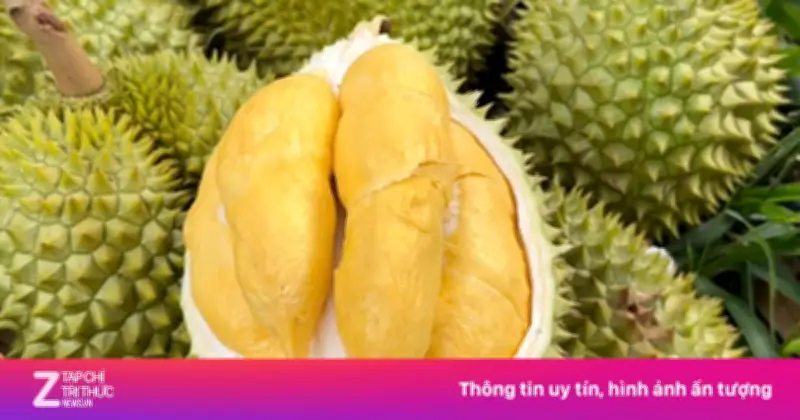 Trung Quốc phê duyệt thêm nhiều phòng kiểm nghiệm sầu riêng tại Việt Nam