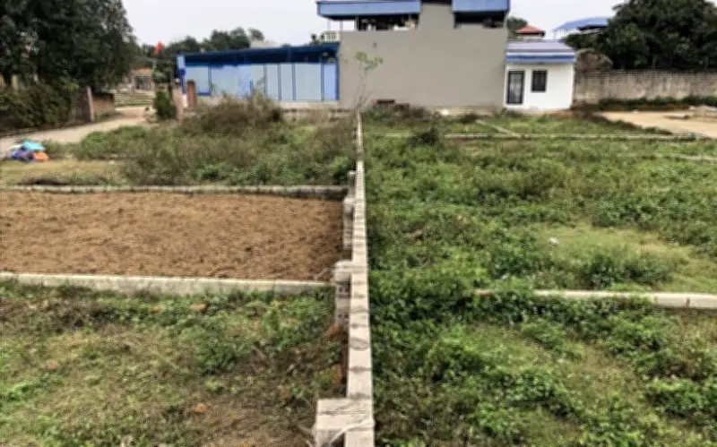 Truy tố đối tượng lừa đảo chiếm đoạt hơn 4,3 tỷ đồng từ đầu tư đất ảo