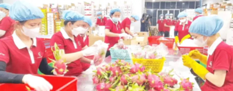 Tây Ninh nỗ lực cải thiện môi trường đầu tư kinh doanh để thúc đẩy tăng trưởng