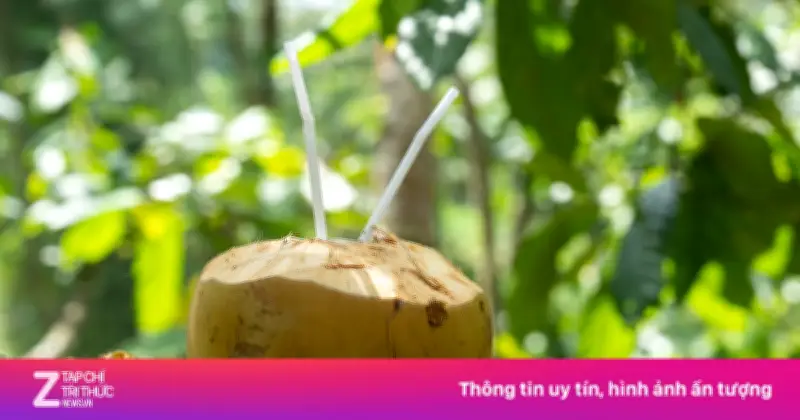 Uống nước dừa thường xuyên: Lợi ích và rủi ro cho thận
