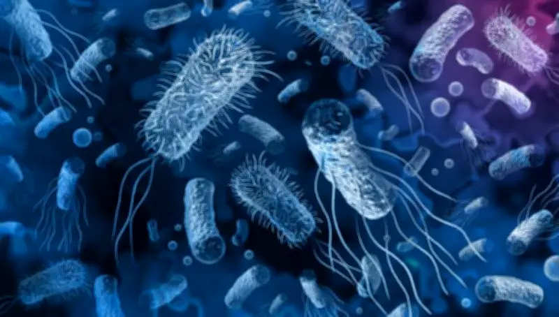 Vụ ngộ độc bánh mì ở Đồng Tháp: 25 mẫu bệnh phẩm dương tính với Salmonella