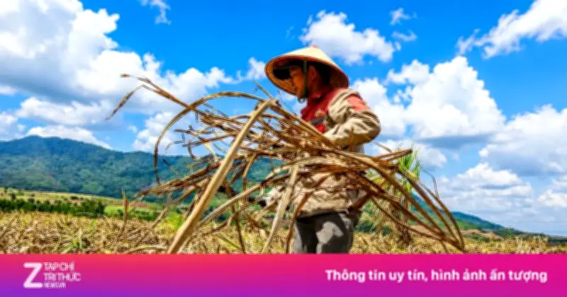 Vựa mía lớn nhất nước lao đao vì đường nhập lậu và giá rẻ