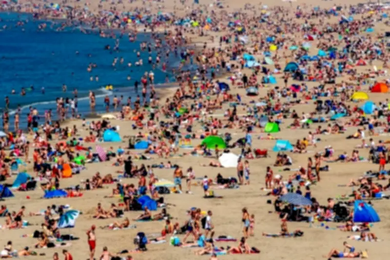 Vi khuẩn 'ăn thịt người' Vibrio vulnificus lan rộng ở châu Âu giữa đợt nắng nóng