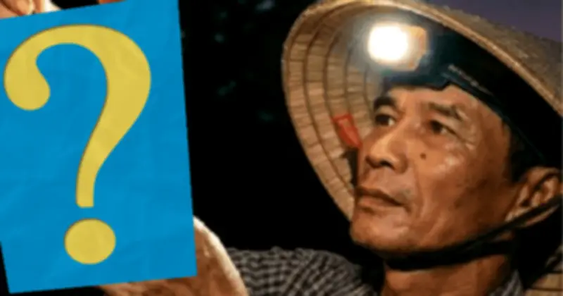 Vải thiều Bắc Ninh: Thu hoạch nửa đêm, xuất khẩu sang Trung Quốc rạng sáng