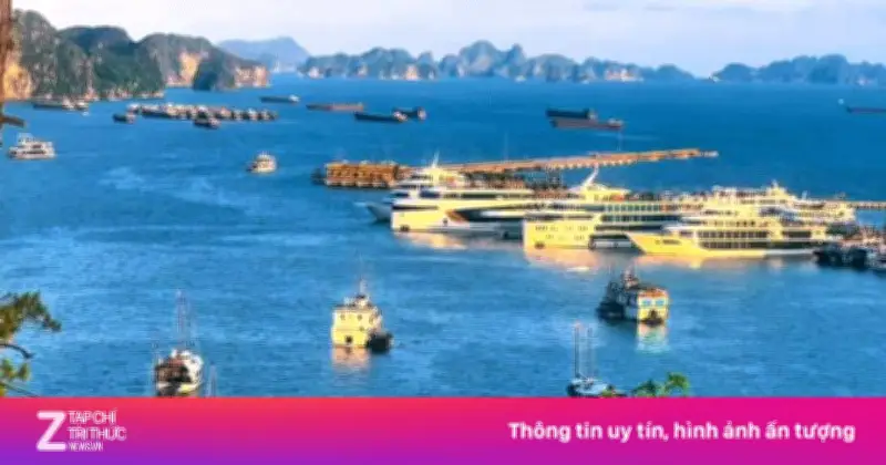 Video: Địa điểm chụp ảnh view biển hot nhất Hạ Long
