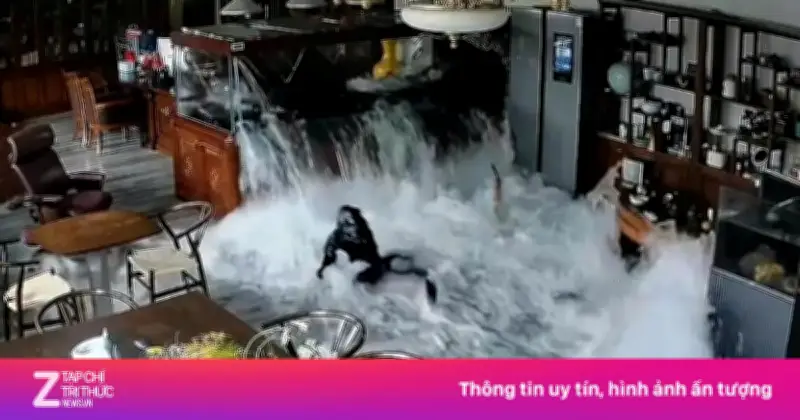 Video cận cảnh bê nổ tung đàn cá quý hiếm giẫy đành đạch trên đất