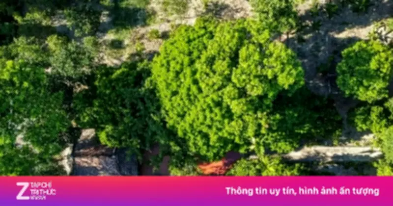 Video: Cận cảnh khu đền thờ cổ sắp được khai quật khảo cổ