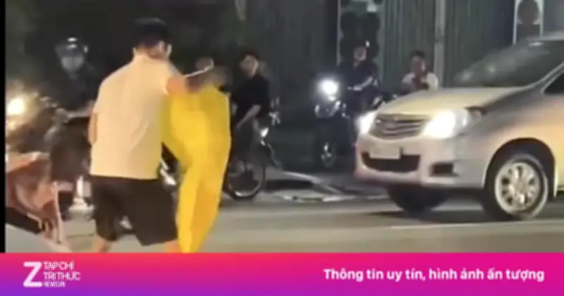 Video: Cảnh cá sấu bơi giữa lòng đường ở Đồng Nai
