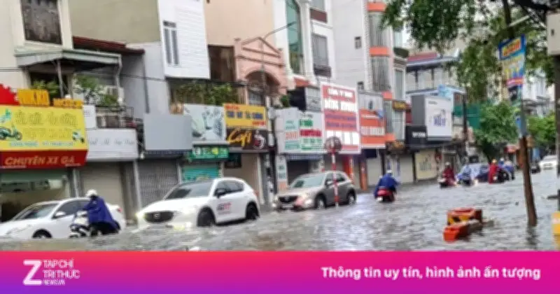 Video: Hải Phòng chìm trong biển nước, cá bơi cả vào nhà dân