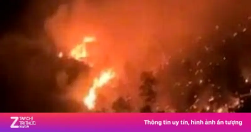 Video hiện trường cháy rừng ở Nghệ An