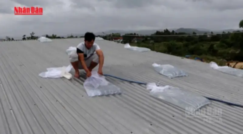 Video: Nhiều cơn bão có thể ảnh hưởng đến đất liền Việt Nam tháng 7-12