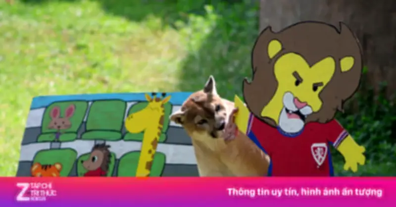Video những hình ảnh đầu tiên của tuyển Hàn Quốc tại World Cup