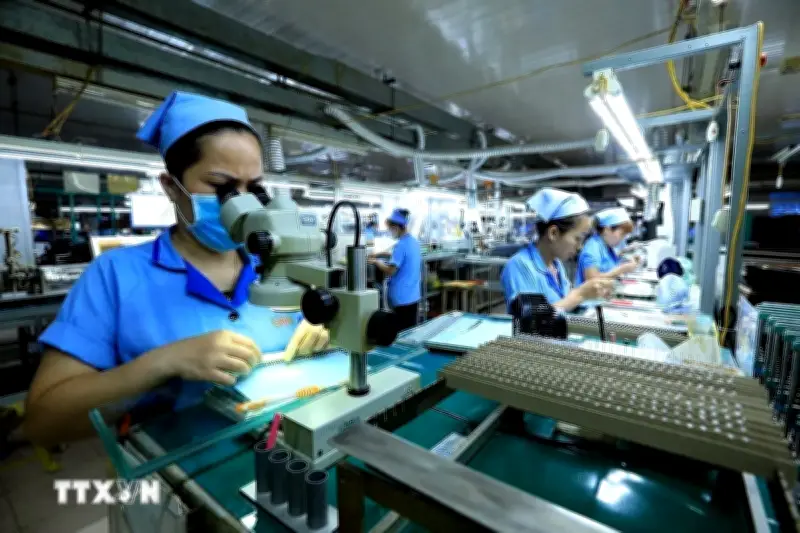 Việt Nam là điểm sáng trong chiến lược đầu tư vào thị trường mới nổi