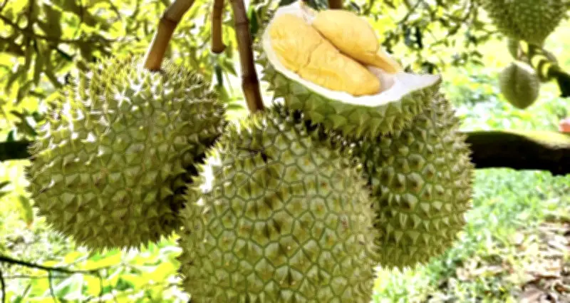 Việt Nam tăng tốc xuất khẩu sang Trung Quốc trước áp lệnh mới với 589 mặt hàng nông sản