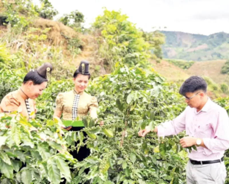 Vốn chính sách giúp phụ nữ Điện Biên thoát nghèo bền vững