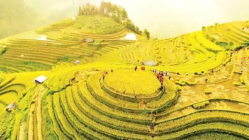 Văn hóa bản địa làm nền tảng phát triển du lịch bền vững