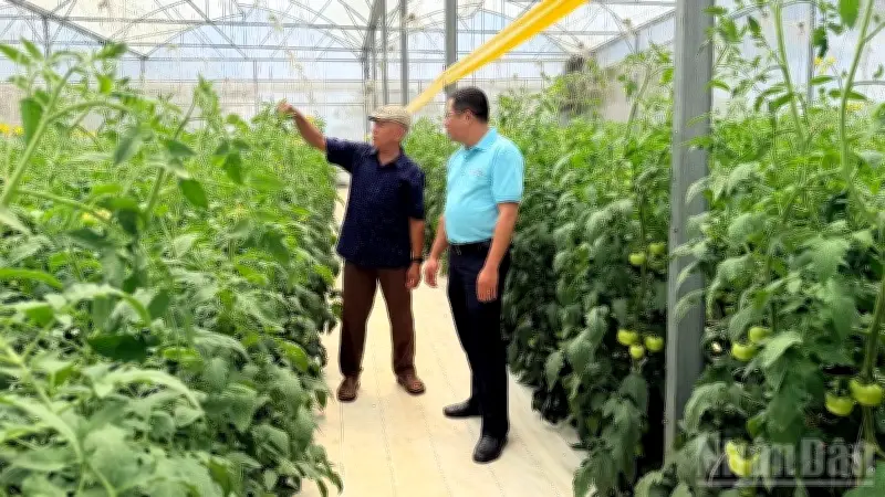 Vốn tín dụng giúp nông dân Lâm Đồng chuyển đổi sản xuất nông nghiệp công nghệ cao