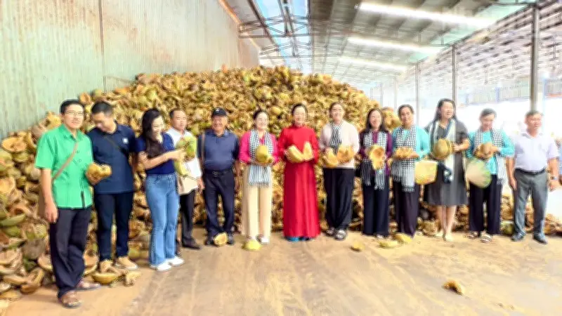 Vĩnh Long chuẩn bị hội thảo dừa quốc tế, hướng tới xuất khẩu 1 tỷ USD
