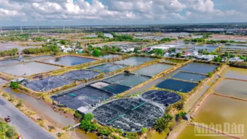 Vĩnh Long đẩy mạnh đầu tư hạ tầng, hướng tới tăng trưởng kinh tế biển bền vững