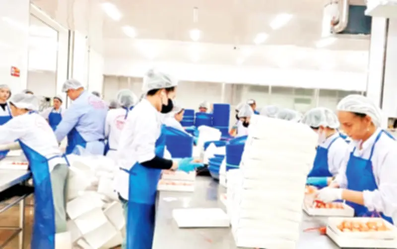Vượt lên gian khó, Vĩnh Phước quyết tâm xây dựng nông thôn mới kiểu mẫu