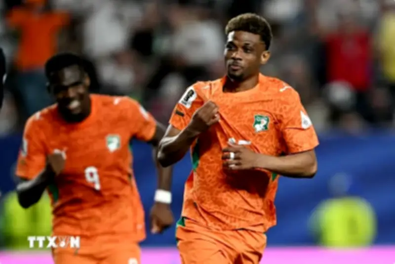 World Cup 2026: Từ nhà vô địch châu Phi đến giấc mơ chinh phục thế giới
