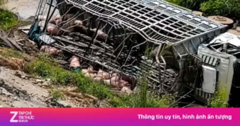 Xe tải chở lợn mất lái trên cao tốc La Sơn - Hòa Liên, thiệt hại hơn 500 triệu
