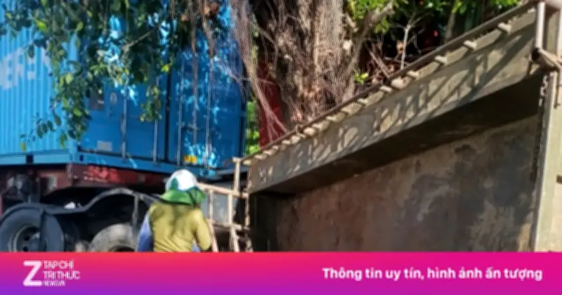 Xe đầu kéo tông công nông ở Lâm Đồng, 1 người chết, nhiều người bị thương
