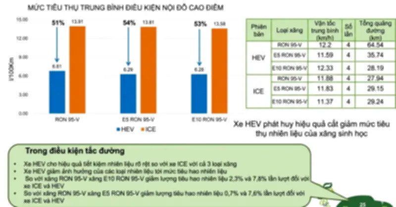 Xăng E10 chính thức triển khai toàn quốc: Chuyên gia phân tích lợi ích và lo ngại