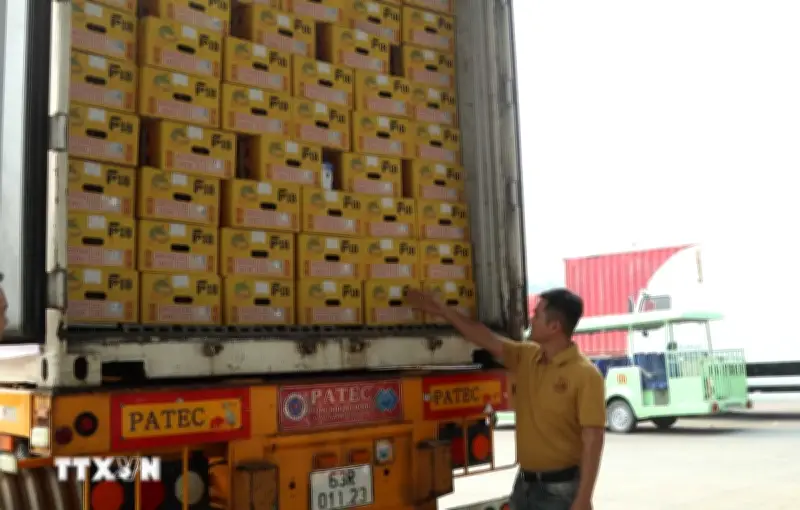 Xuất khẩu qua cửa khẩu Lào Cai tăng hơn 60%, sầu riêng lập kỷ lục