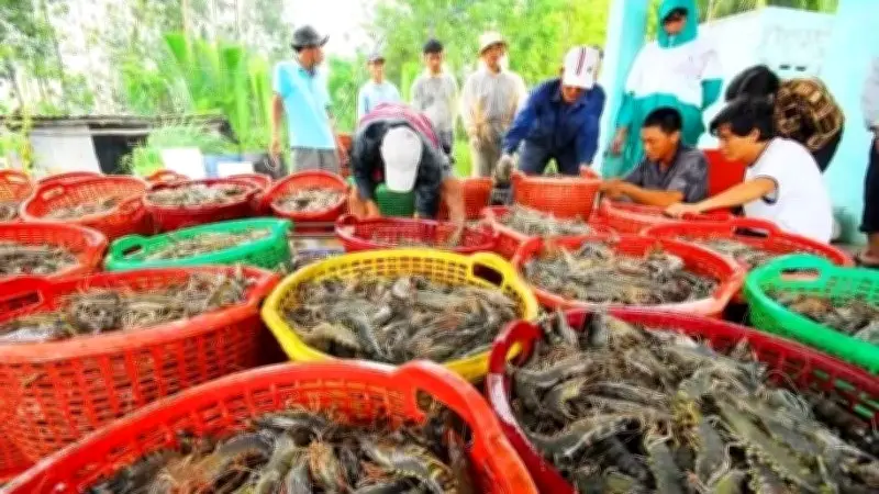 Xuất khẩu thủy sản Việt Nam tháng 6 tăng 21%, 6 tháng đầu năm đạt gần 5,8 tỷ USD
