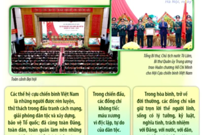 Xây dựng Hội Cựu chiến binh Việt Nam vững mạnh toàn diện