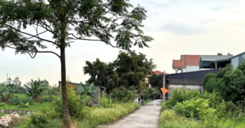 Xây nhà trên đất nông nghiệp từ 2018 chuyển sang đất ở có phải tháo dỡ?