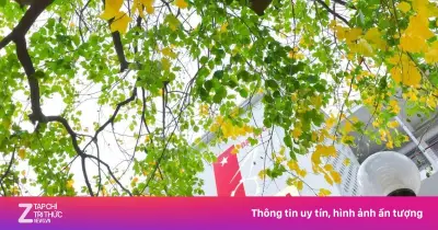 6 đại học Việt Nam lọt bảng xếp hạng thế giới CWUR 2026, 4 trường tăng hạng