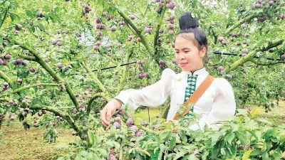 AI và chuyển đổi số thúc đẩy nông nghiệp xanh tại hợp tác xã