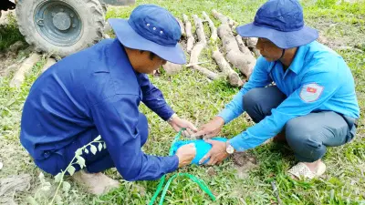 An Giang lấy mẫu ADN cho hơn 30.000 mộ liệt sĩ chưa xác định