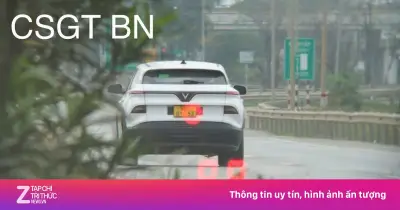 Ba tháng truy vết ôtô biển số giả vượt đèn đỏ, chạy quá tốc độ