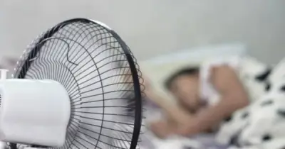 Bật quạt trong phòng kín khiến nhà nóng hơn: Sai lầm nhiều người mắc