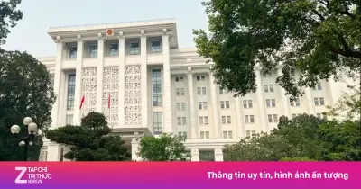 Cơ cấu tổ chức mới của Văn phòng Chính phủ theo Nghị định 196