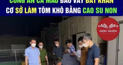 Cà Mau xác định người tung tin giả tôm khô làm từ cao su non