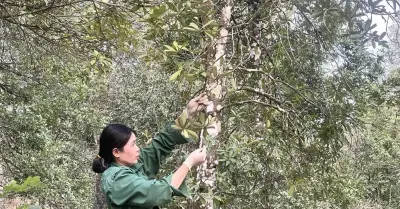 Cao Bằng đẩy mạnh tuyên truyền sâu rộng xóa vùng lõm thông tin lâm nghiệp