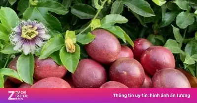 Chanh leo: Loại quả giàu vitamin C giúp sạch đường ruột