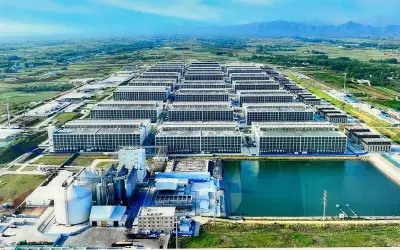Chăn nuôi lợn nhà cao tầng công nghệ cao tại Hà Nội: Kỳ vọng phát triển kinh tế, trăn trở bài toán kiểm soát mùi