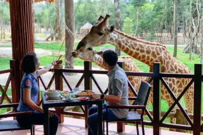 Chuỗi trải nghiệm độc lạ thu hút du khách về Bắc đảo Phú Quốc