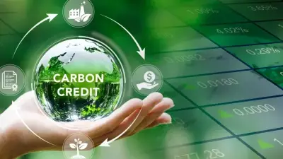 Chuyển đổi xanh: Cơ hội tái cấu trúc nền kinh tế Việt Nam