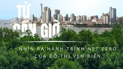 Cần Giờ tiên phong Net Zero: Bài học cho đô thị ven biển